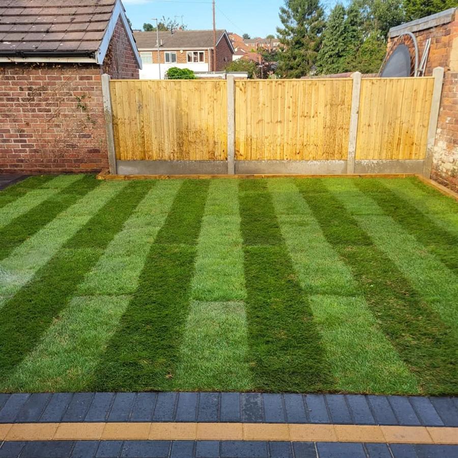 New turf lawn with block border